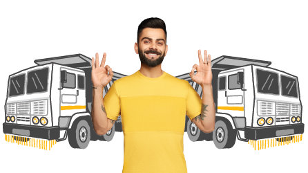 Tipper Insurance